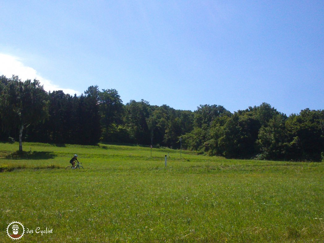 Rennrad, Wien, Niederösterreich, Wiener Wald