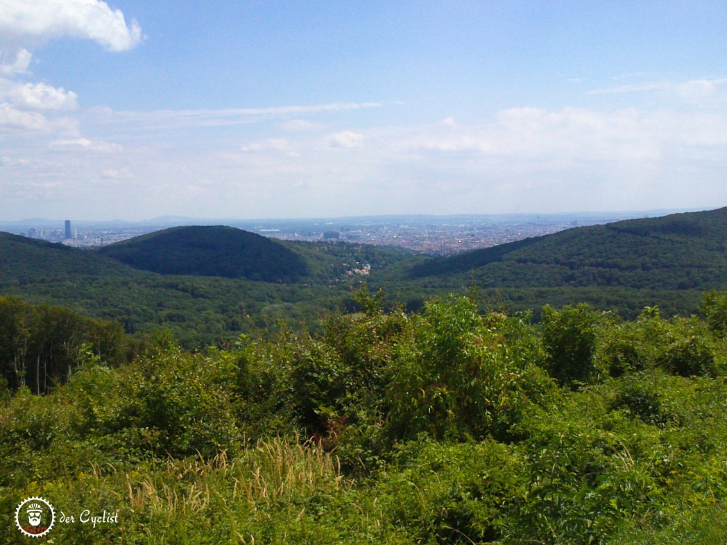 Rennrad, Wien, Niederösterreich, Wiener Wald