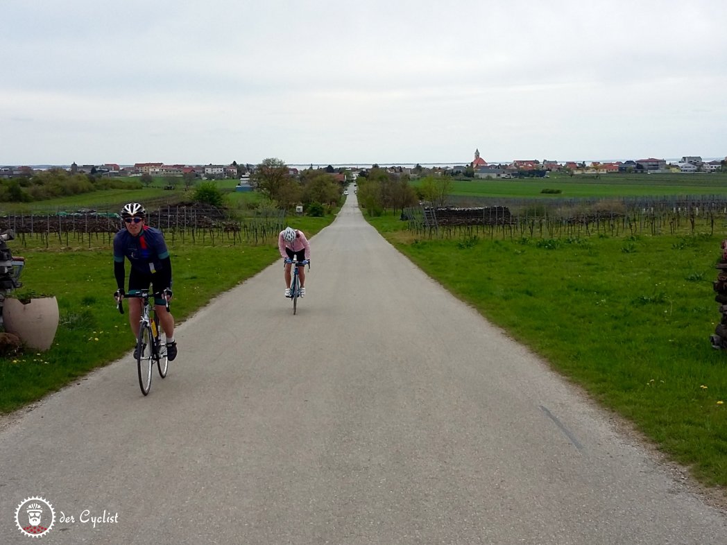 Rennradtour, Burgenland, Niederösterreich, Neusiedlersee