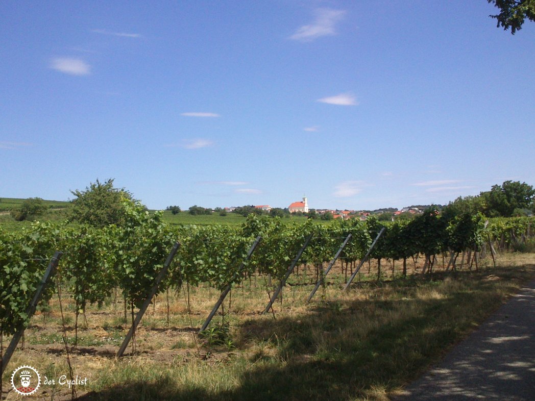 Rennrad Wien Burgenland Neusiedlersee