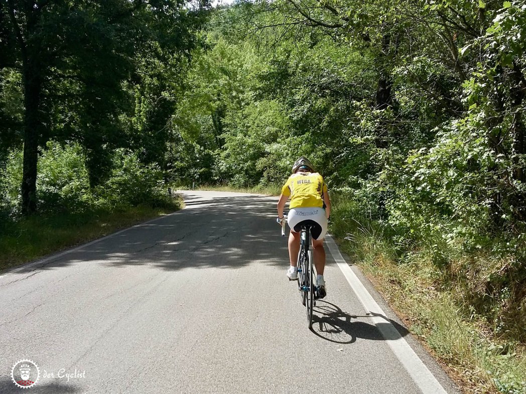 Rennrad, Italien, Toskana, Livorno, Pisa 