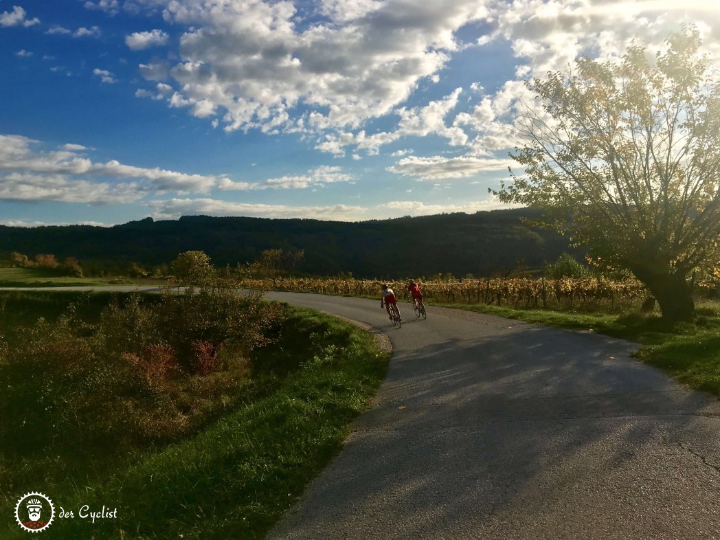 Rennrad, Kroatien, Istrien, Hinterland