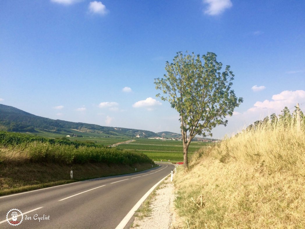 Rennradtour, Niederösterreich, Wien, Wienerwald, Baden