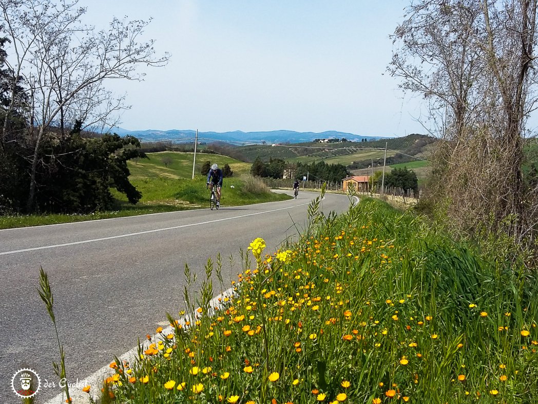 Rennrad, Italien, Toskana, Val d'Orcia, Montalcino