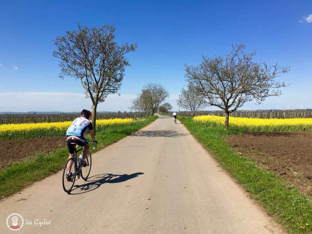 Rennradtour, Burgenland, Neusiedlersee, Seewinkel