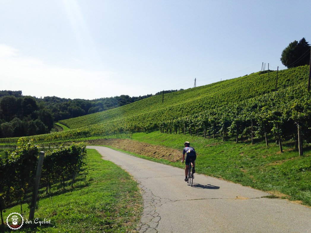 Rennrad, Steiermark, Südsteiermark, Leibnitz, Gamlitz, Weinstrasse