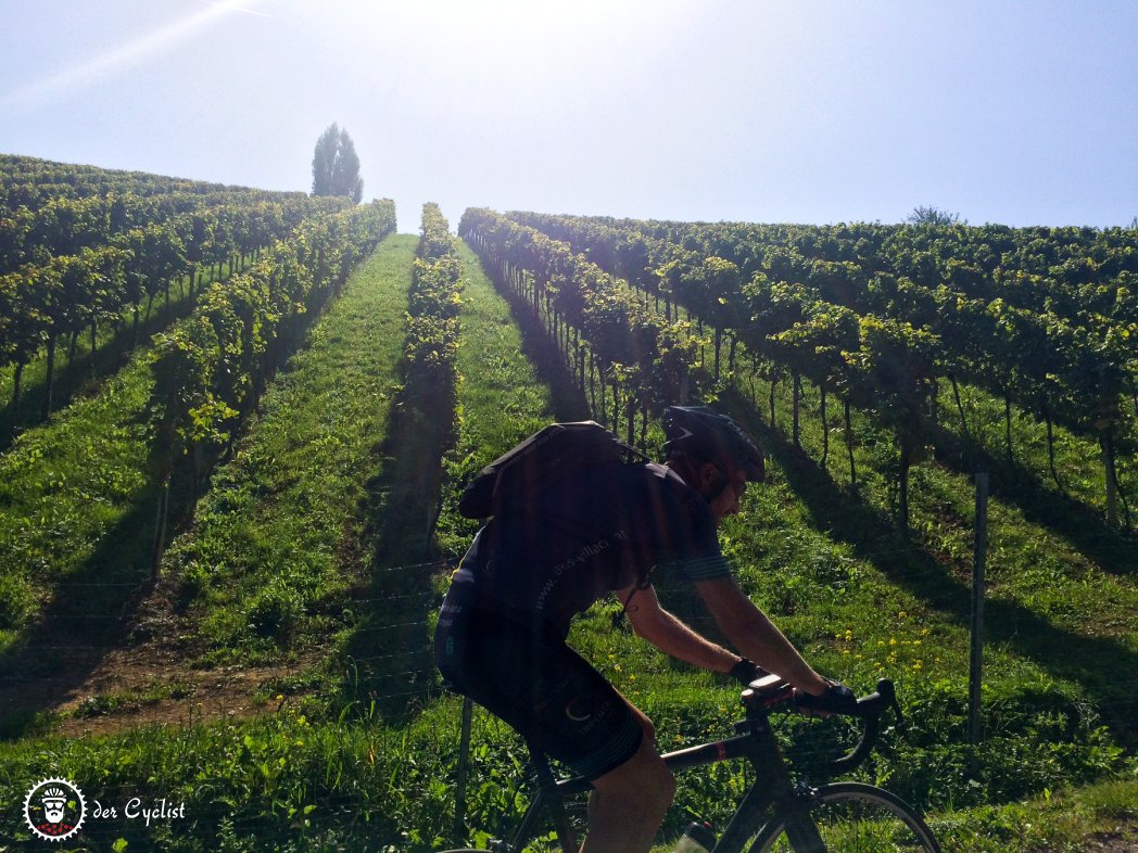 Rennrad, Steiermark, Südsteiermark, Leibnitz, Gamlitz, Weinstrasse