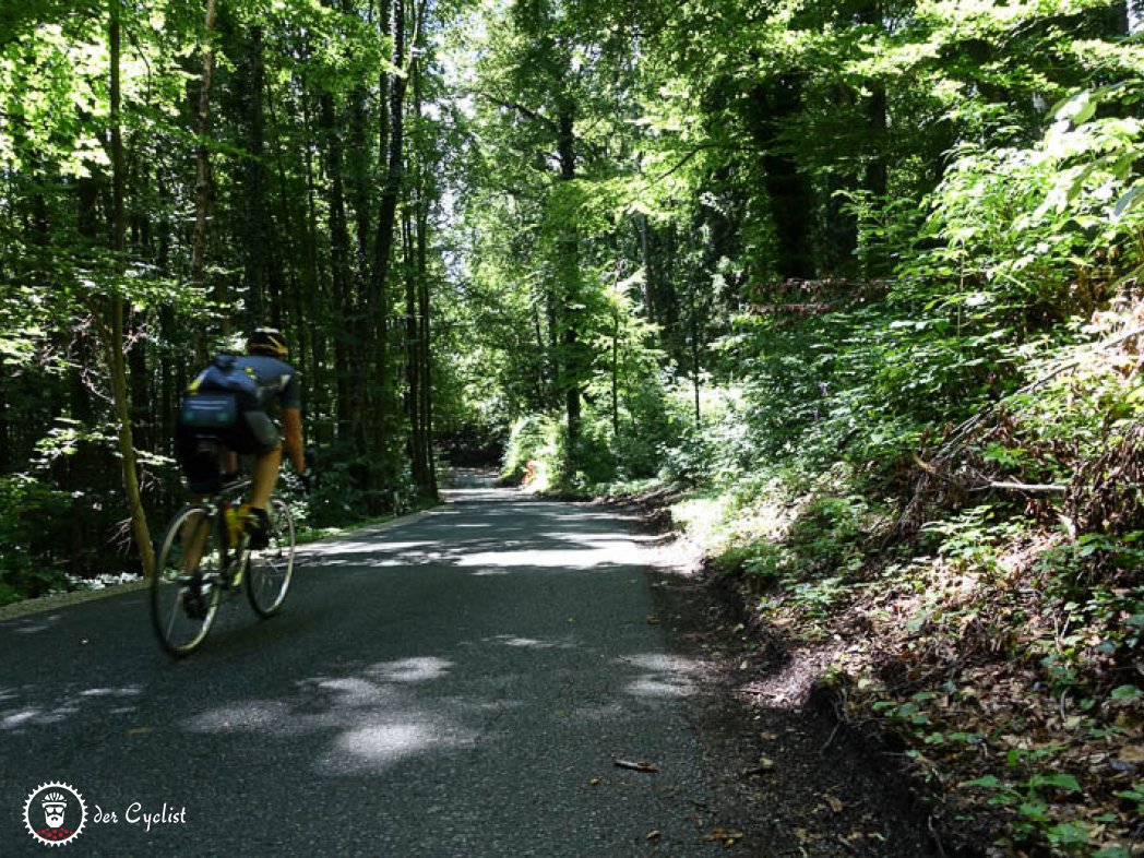 Rennrad, Steiermark, Graz, Stübing