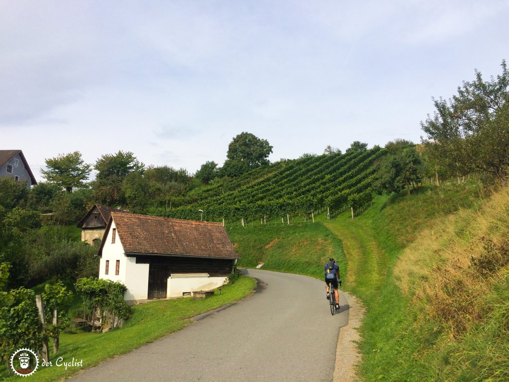 Rennrad, Steiermark, Südsteiermark, Sausal, Weinstrasse