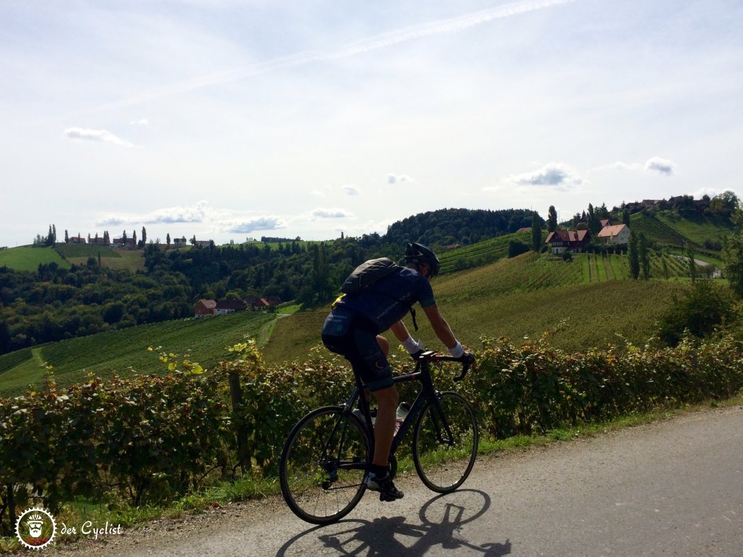 Rennrad, Steiermark, Südsteiermark, Sausal, Weinstrasse