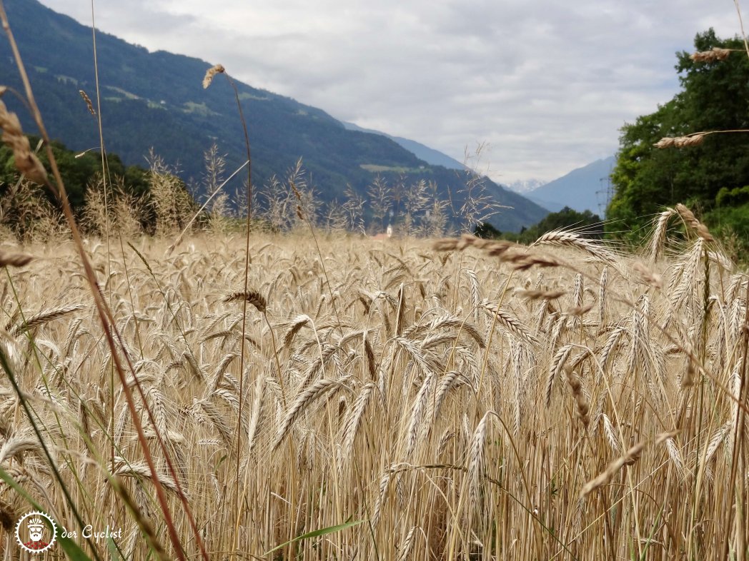 Rennrad, Tirol, Oberland, Ötztal, Imst, Mieminger Plateau, Holzleitensattel