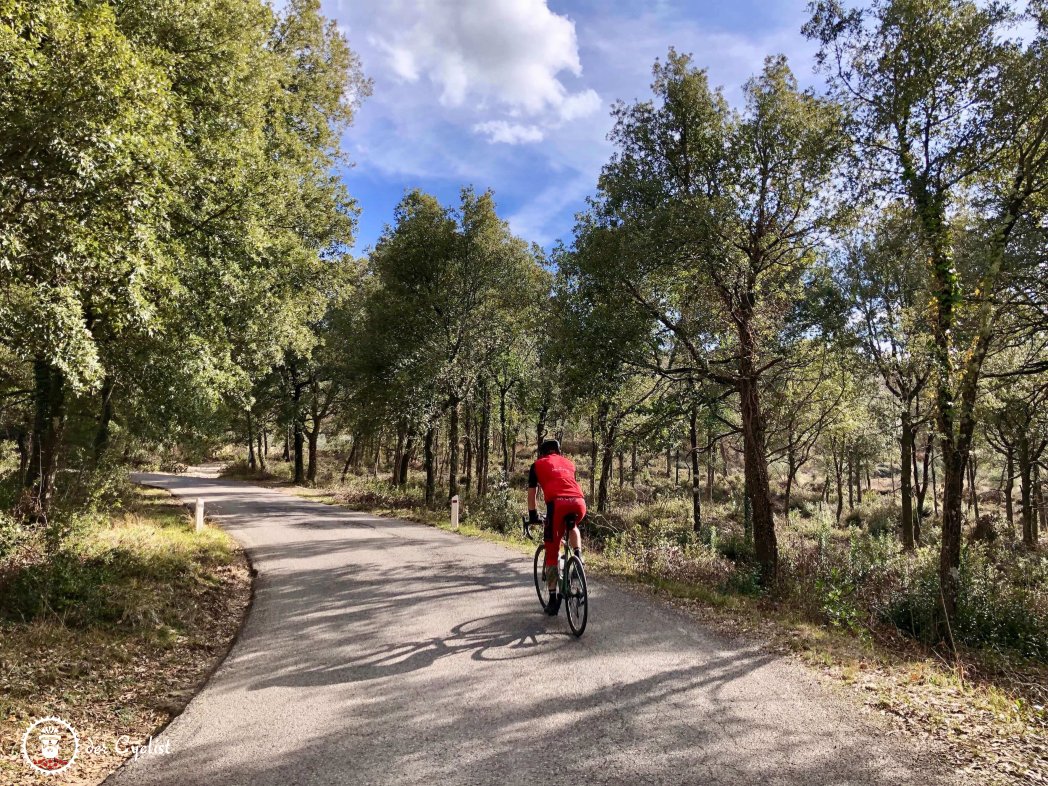 Rennrad, Italien, Toskana, Siena, Strada di chianti, Strade bianche, San Gimignano