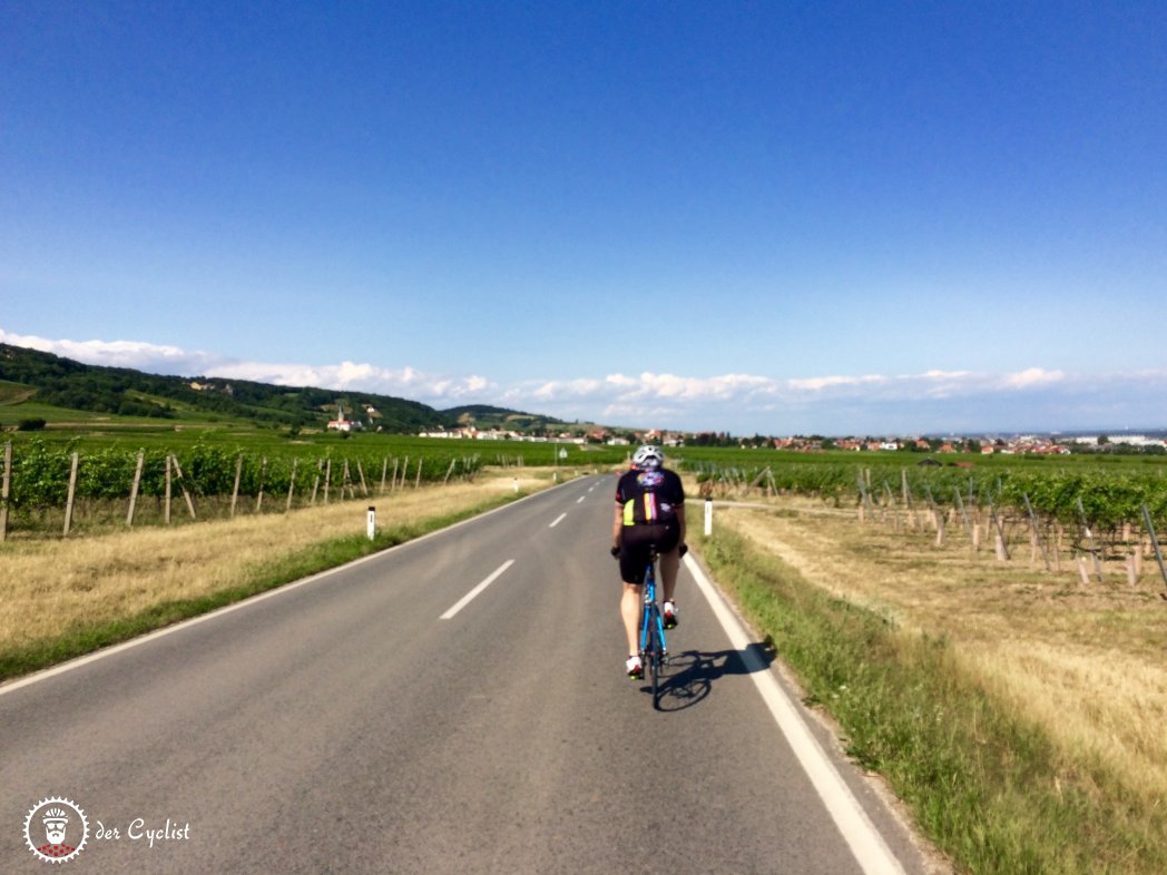 Rennrad, Österreich, Wien, Niederösterreich, Wienerwald, Mödling